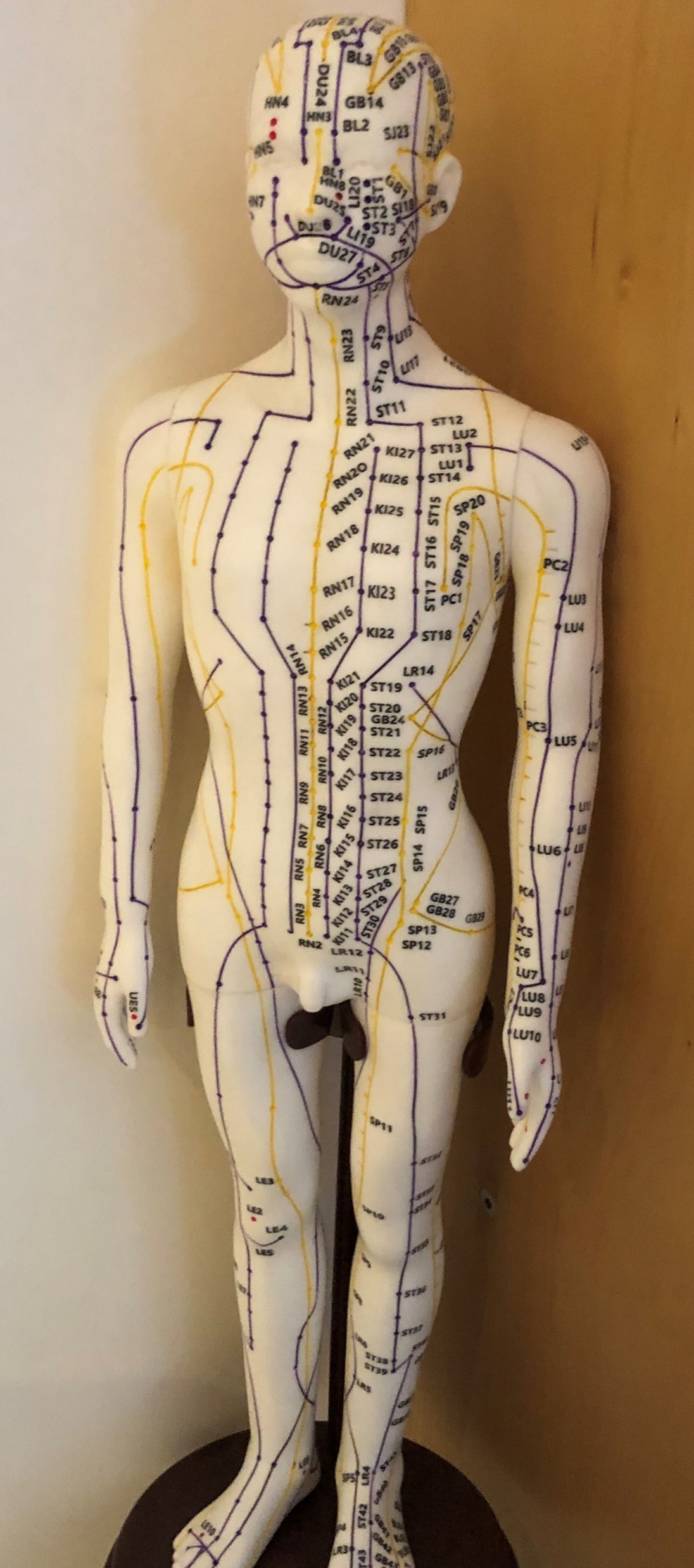 Médecine traditionnelle chinoise